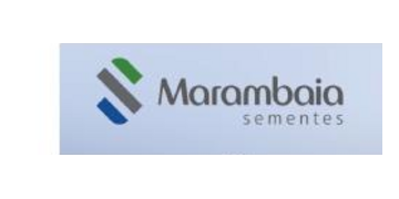 Marambaia Sementes